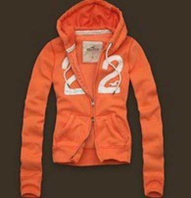 Cheap Hollister Women Hoodies wholesale No. 24